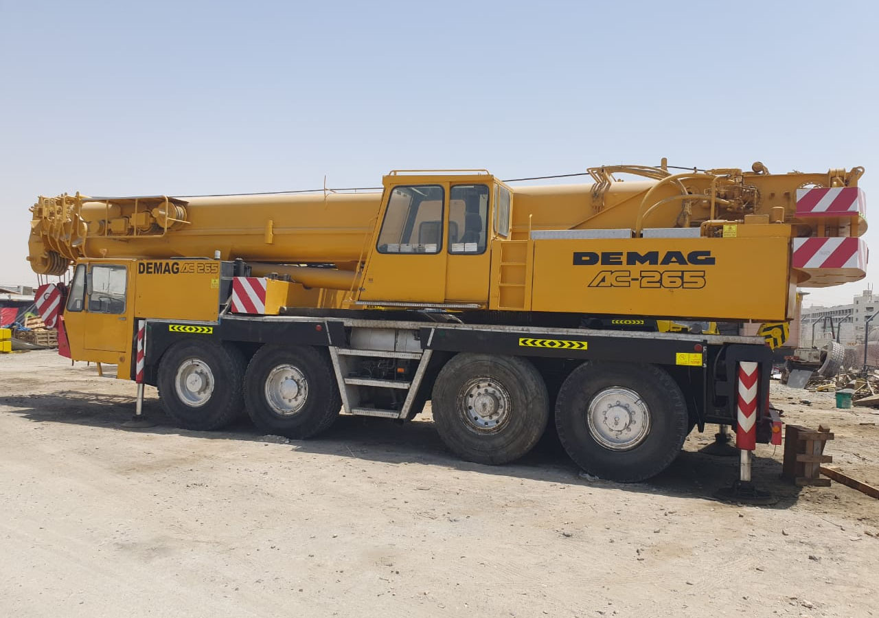 DEMAG AC265